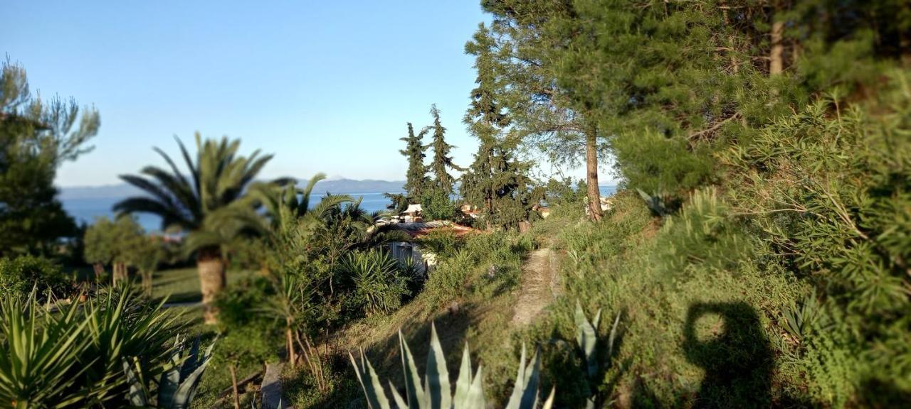 Seaside View Villa Hanioti Buitenkant foto