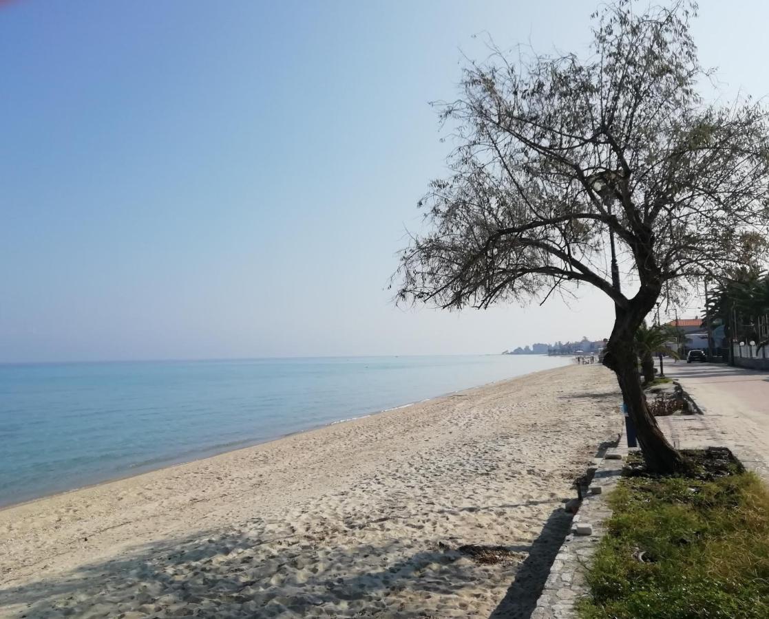 Seaside View Villa Hanioti Buitenkant foto